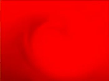 First Weeks Were Hell