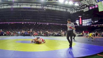 D3-165 lbs Champ. Round 1 - Darius Flowers, Muskegon Orchard View vs Trace Lietz, Armada