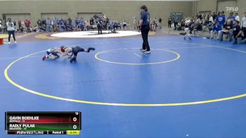 65 lbs Placement (4 Team) - Gavin Boehlke, Buffalo vs Radly Pulak, Brainerd