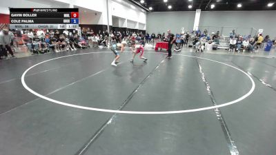 100 lbs Gavin Boller, Team Michigan Blue vs Cole Palma, Ohio Gray