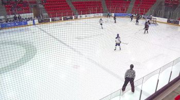 Replay: Home - 2024 Royals Gold vs Red Deer | Dec 1 @ 6 PM