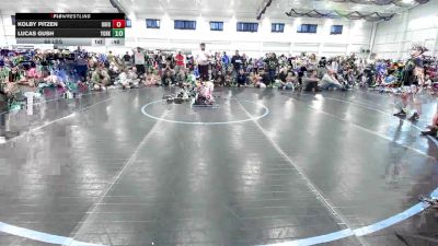 76 lbs Round Robin 3 - Logan Lakhlani, Ohio Gold-EL vs Logan Thomas, Yorktown Wrestling Club-EL