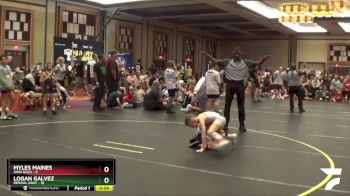 49 lbs Finals (8 Team) - Myles Maines, Ohio Gold vs Logan Galvez, Revival Gray