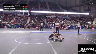 58 lbs Semifinal - Brody Harmon, Lawrence Elite vs Xander Elms, Haysville