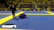 FÁBIO HENRIQUE MENDES ALVES vs YUYA AOKI 2024 World Jiu-Jitsu IBJJF Championship