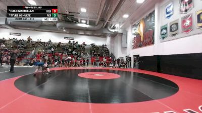 115 lbs 3rd Place Match - Tylee Schultz, Pine Creek vs Halo MacMillan, Columbine