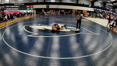 125 lbs Cons. Round 2 - Jaydin Barreto, Misericordia vs Joey Lamparelli, Muhlenberg