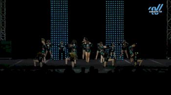 Cheer Extreme - Chicago - Fancy [2025 L1 Junior Day 2] 2025 ASC King of the Jungle Schaumburg Showdown