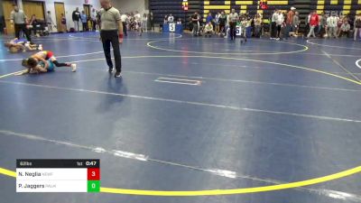 62 lbs Consy 1 - Nolan Neglia, Newfane/Revolution Elite vs Presley Jaggers, Palmer Wrestling