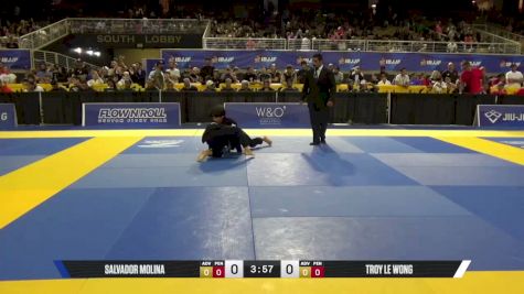 Salvador Molina vs Troy Le Wong 2026 Pan Kids Jiu-Jitsu IBJJF Championship