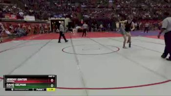D1-132 lbs Quarterfinal - Jeremy Ginter, Whitmer vs David Gelman, Moeller