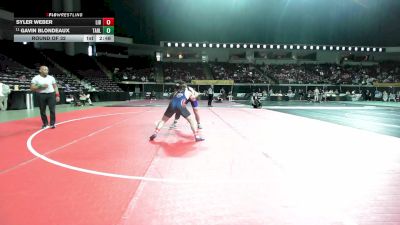 184 lbs Round Of 32 - Syler Weber, Liberty vs Gavin Blondeaux, Tarleton State