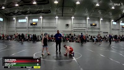 92 lbs Round 6 (8 Team) - Cale Lauby, NOVA WC vs Alex Rubal, ROUGHHOUSE