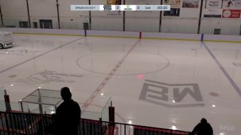 Replay: Home - 2024 Black Vees vs Universel | Nov 8 @ 11 AM