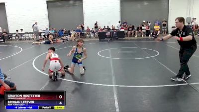 106 lbs Semis & 3rd Wb (16 Team) - Grayson Hostetter, Pennsylvania Red vs Brogan Lefever, New York Gold