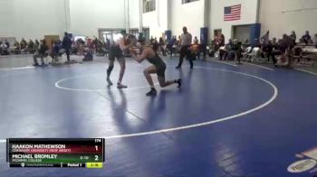 174 lbs Champ. Round 1 - Haakon Mathewson, Centenary University (New Jersey) vs Michael Bromley, McDaniel College