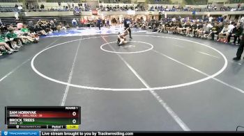 126 lbs Round 1 (4 Team) - Sam Hornyak, Waverly - Shell Rock vs Brock Trees, Osage