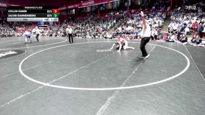 150 lbs D1/d2/d3 Finals (sat 3:00 P.m.) - Collin Hamm, Weyauwega-Fremont vs Jacob Dannenberg, Mineral Point