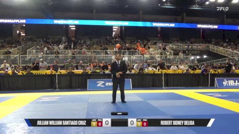 Robert Sidney Delisa vs Jullian William Santiago Cruz 2025 Pan Kids Jiu-Jitsu IBJJF Championship