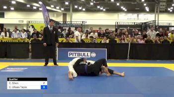 Christian Shen vs Carlos Ulises Tapia 2024 World Masters IBJJF Jiu-Jitsu Championship