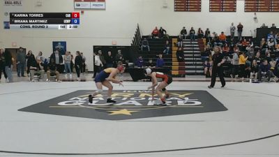 110 lbs Cons. Round 3 - Briana Martinez, Wisconsin Stevens Point vs Karina Torres, Carthage College
