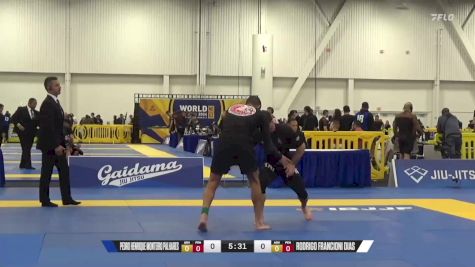 Rodrigo Francioni Dias vs Pedro Henrique Monteiro Palhares 2024 World IBJJF Jiu-Jitsu No-Gi Championship