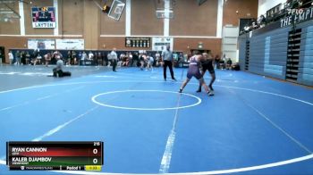 215 lbs Champ. Round 2 - Ryan Cannon, Lehi vs Kaleb Djambov, Viewmont