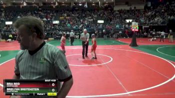 108 lbs Quarterfinal - Bria Reid, Unattached vs Brielynn Breitenstein, Unattached