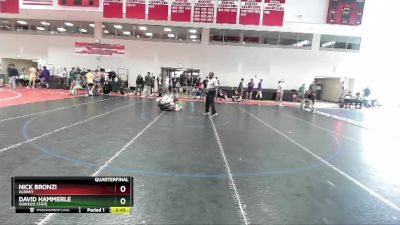 165 lbs Quarterfinal - Nick Bronzi, Albany vs David Hammerle, Oswego State