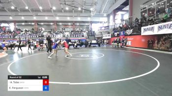 116 lbs Round Of 32 - Ashley Tobe, Grand View University vs Emily Ferguson, York College