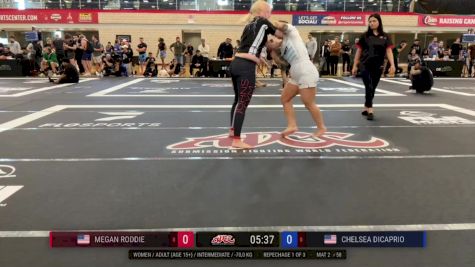 Chelsea DiCaprio vs Megan Roddie 2024 ADCC Austin Open