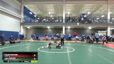 68 lbs Placement Matches (16 Team) - Tyler Demand, Terps vs Liam Reeves, Steel Valley Renegades