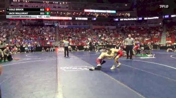 3A-113 lbs Champ. Round 2 - Cole Bruck, North Scott vs Jack Wallukait, Dowling Catholic