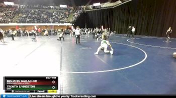 125 lbs Champ. Round 1 - Trentin Livingston, Iowa vs Benjamin Gallagher, Moen Wrestling Academy