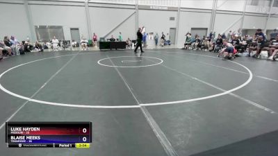 165 lbs 2nd Wrestleback (16 Team) - Luke Hayden, Missouri vs Blaise Meeks, Tennessee