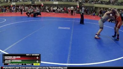 125 lbs Round 1 - Hayden Nelson, Moorhead Magic vs Jacob Andersen, Pinnacle