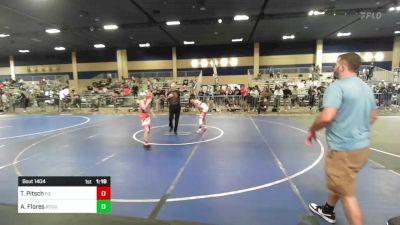 98 lbs Semifinal - Titus Pitsch, Fq vs Andrew Flores, Rough House WC