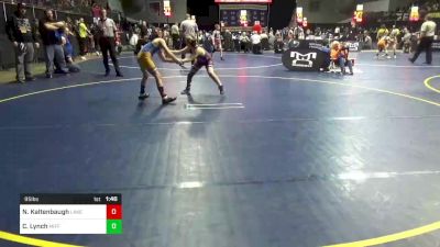 95 lbs Round Of 32 - Noah Kaltenbaugh, Lakeview vs Cain Lynch, Mifflin County