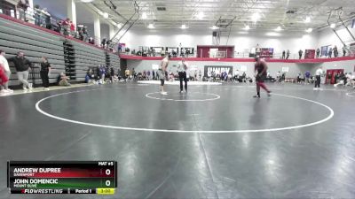 285 lbs Cons. Round 2 - John Domencic, Mount Olive vs Andrew Dupree, Davenport