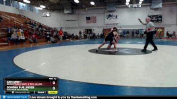 133 lbs Semifinal - Sam Smith, Rochester Community & Tech. College vs Dominik Mallinder, Wisconsin-Whitewater