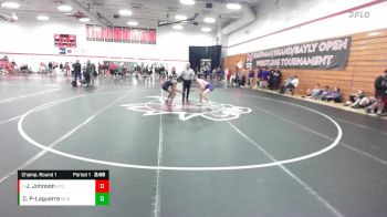 149 lbs Champ. Round 1 - James Johnson, University Of The Ozarks vs Christian Pfeiffer-Laguerre, McKendree