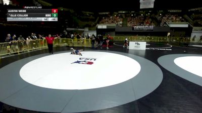 75 lbs Cons. Quarters - Austin Webb vs Elle Collier, Mad Dawg Wrestling Club