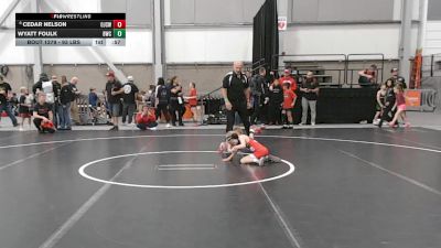 53 lbs Cons. Quarters - Wyatt Foulk, Buzzsaw Wrestling Club vs Cedar Nelson, Orting Jr. Cardinals Wrestling
