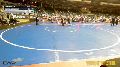 145 lbs Consi Of 4 - True Woods, Big Game WC vs Gabrian Bridges, GSD
