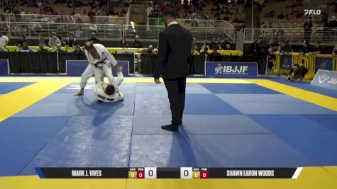 Shawn Earon Woods vs Mark J. Vives 2025 Pan Jiu Jitsu IBJJF Championship