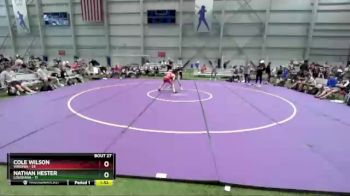 120 lbs Placement Matches (16 Team) - Cole Wilson, Virginia vs Nathan Hester, Louisiana