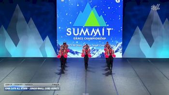 Iowa CATS All Stars - Junior Small Coed Variety [2026 Junior - Premier - Variety Finals] 2026 The Dance Summit
