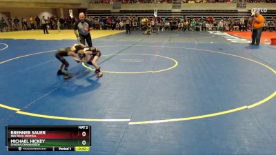 50 lbs Cons. Round 1 - Michael Hickey, Chaska/Chanhassen vs Brenner Sauer, Red Rock Central