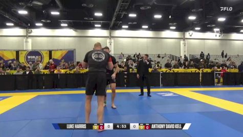 Anthony David Kell vs Luke Harris 2024 World IBJJF Jiu-Jitsu No-Gi Championship