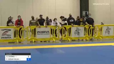 DAVID GARMO vs FELIPE CESAR SILVA 2020 IBJJF Pan No-Gi Championship